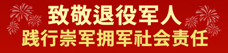 致敬退役军人 3